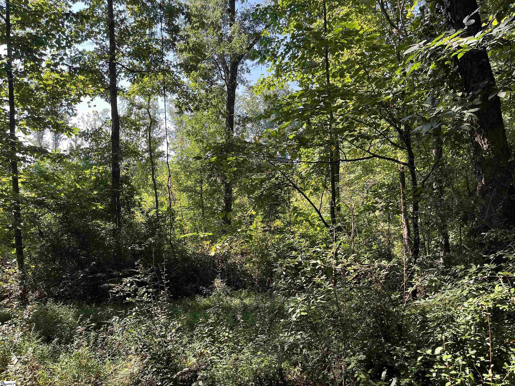 7.1 Acres of Land for Sale in Wellford, South Carolina