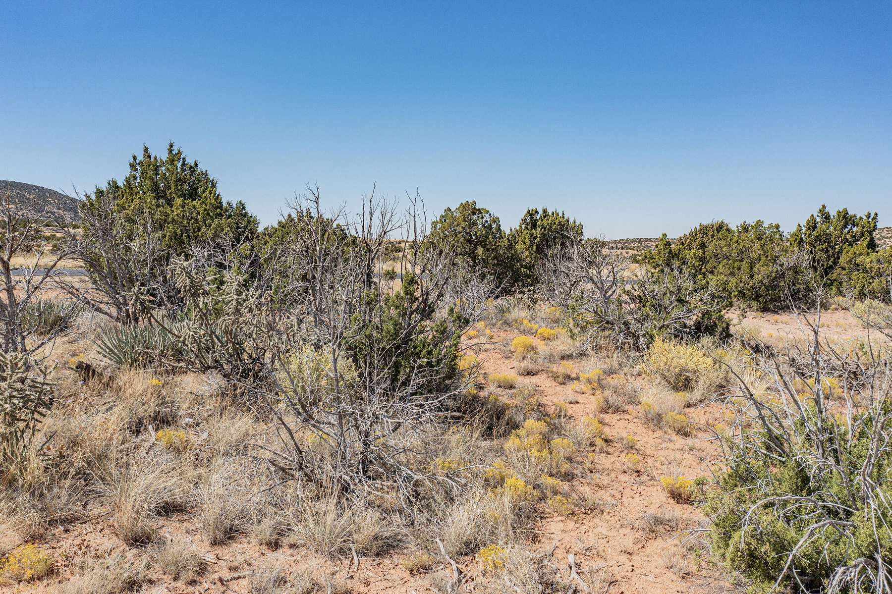 1.3 Acres of Residential Land for Sale in Placitas, New Mexico