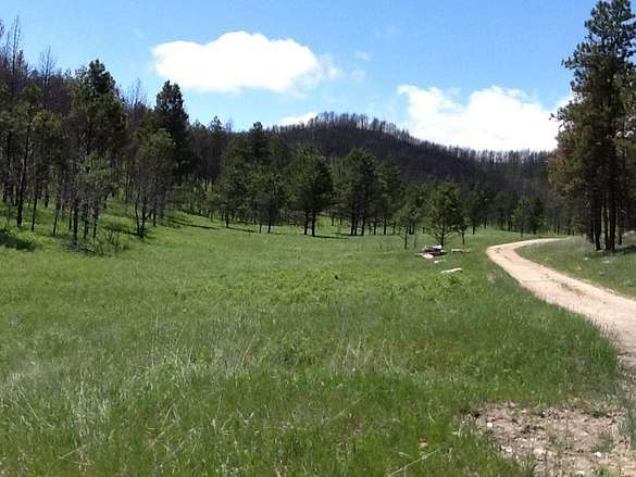 159 Acres of Recreational Land & Farm for Sale in Custer, South Dakota