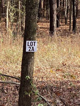 10 Acres of Land for Sale in Cabot, Arkansas