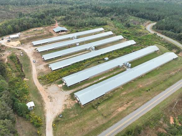77 Acres of Improved Land for Sale in Alexander City, Alabama