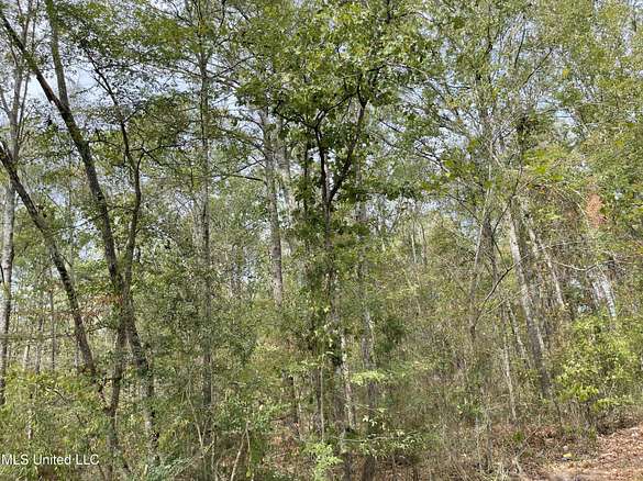 2 Acres of Land for Sale in Pearl, Mississippi