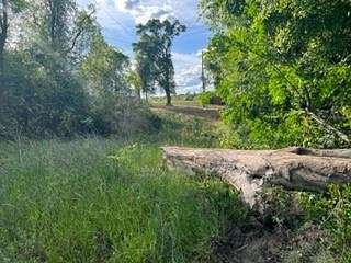 Mixed-Use Land for Sale in Eufaula, Alabama