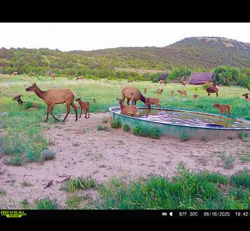 3,623 Acres of Improved Recreational Land for Sale in Kim, Colorado