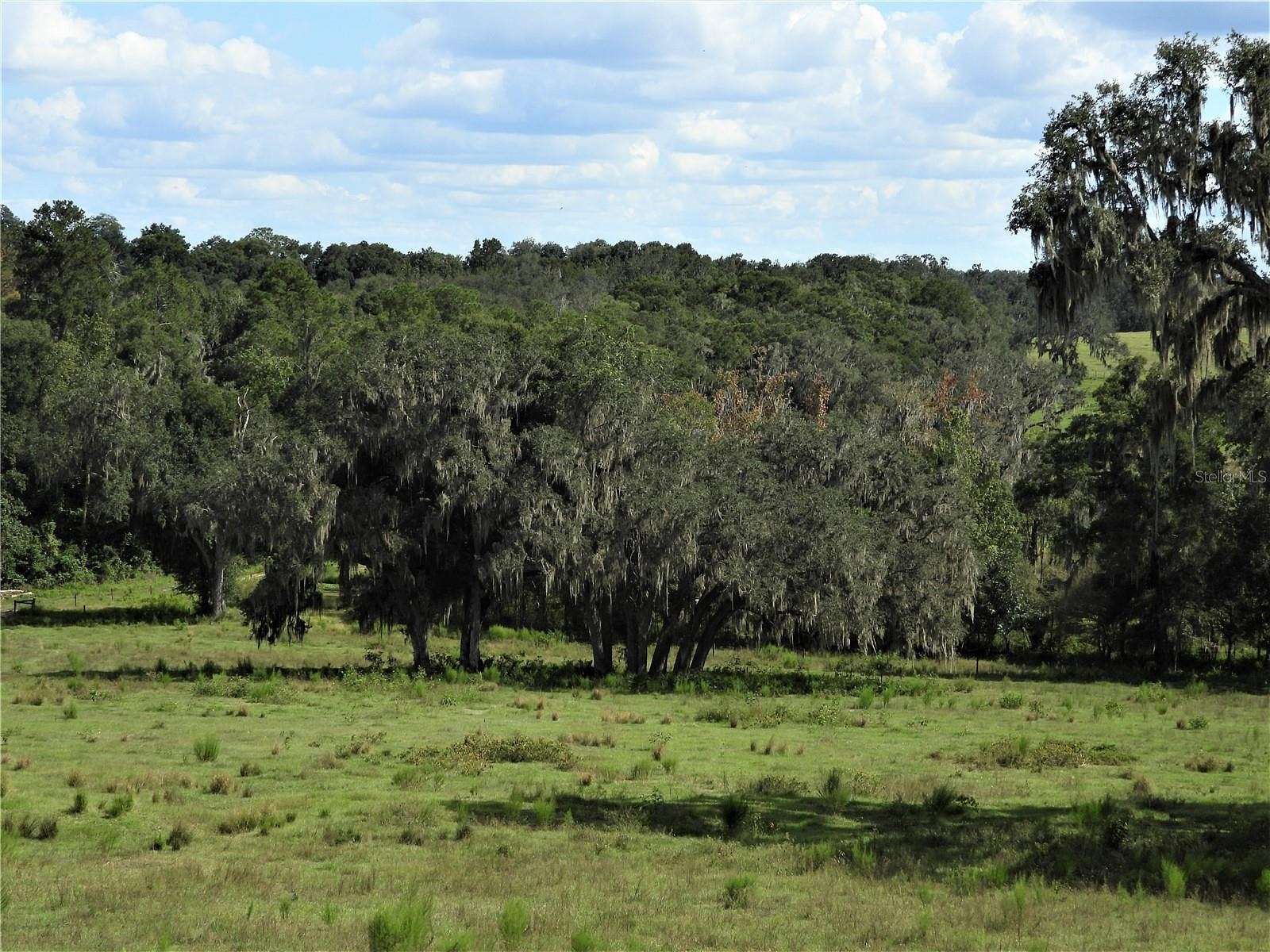 63 Acres of Land for Sale in Dade City, Florida