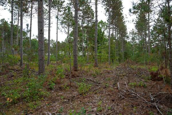 2.45 Acres of Residential Land for Sale in Nekoosa, Wisconsin