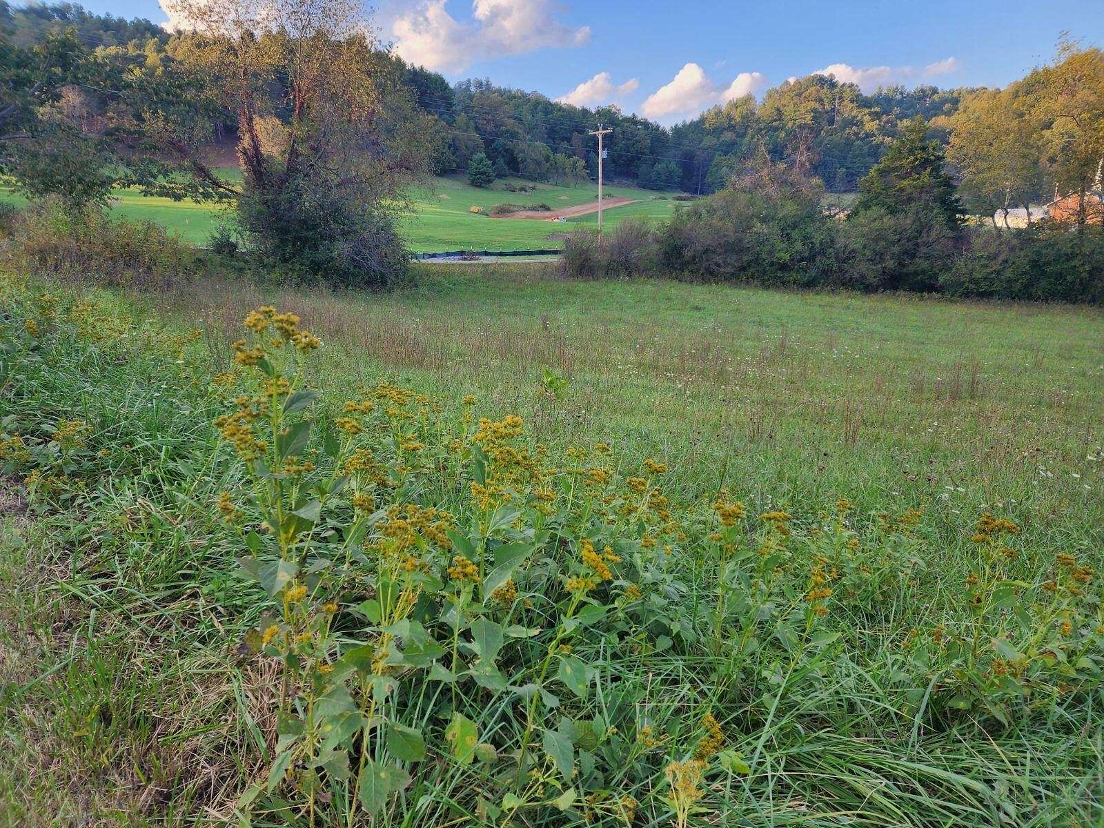 0.69 Acres of Residential Land for Sale in Butler, Tennessee