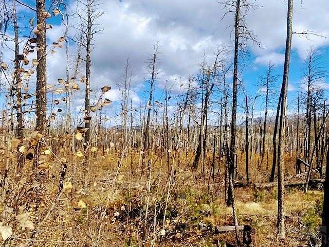 1.68 Acres of Residential Land for Sale in Fort Garland, Colorado