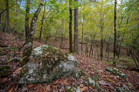 17 Acres of Recreational Land for Sale in Broken Bow, Oklahoma