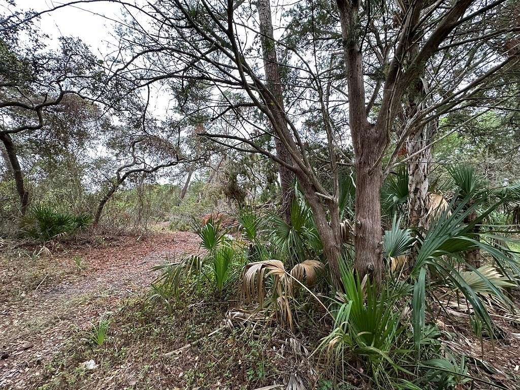0.34 Acres of Residential Land for Sale in Cedar Key, Florida