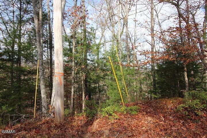 5 Acres of Residential Land for Sale in Walland, Tennessee