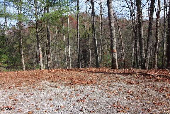 5.05 Acres of Residential Land for Sale in Walland, Tennessee