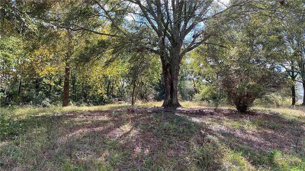 1 Acre of Residential Land for Sale in Conyers, Georgia