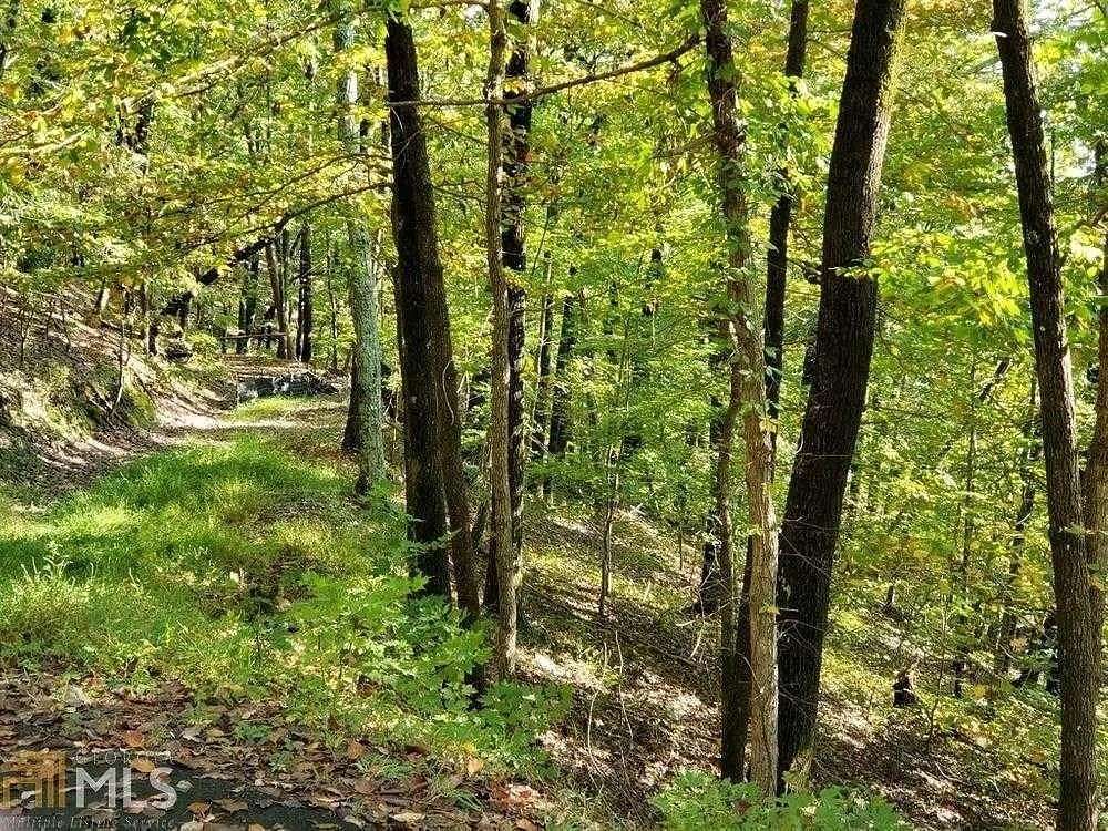 2 Acres of Land for Sale in Big Canoe, Georgia