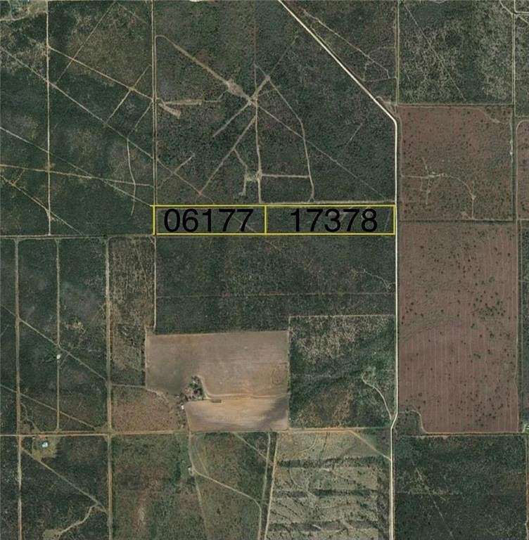 26.8 Acres of Land for Sale in Benavides, Texas