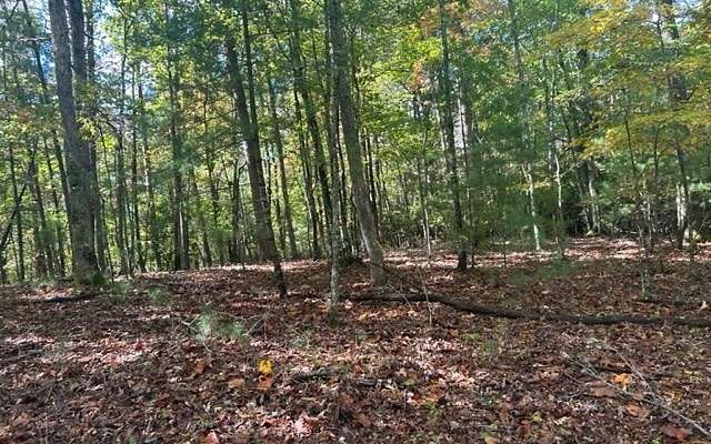 9.1 Acres of Land for Sale in Blairsville, Georgia