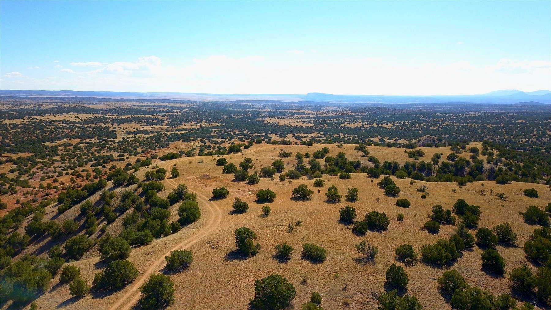 53.2 Acres of Agricultural Land for Sale in Lamy, New Mexico
