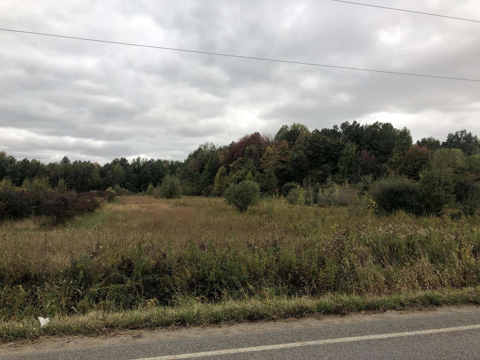 39.4 Acres of Land for Sale in Grand Junction, Michigan