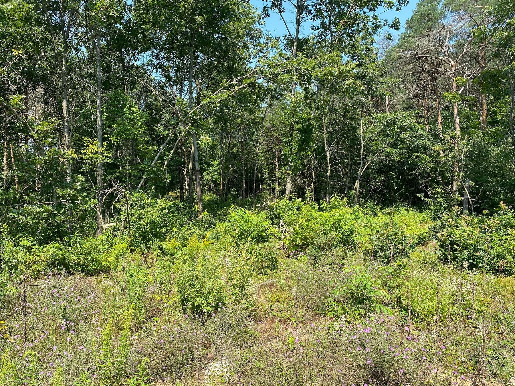 10 Acres of Residential Land for Sale in Twin Lake, Michigan