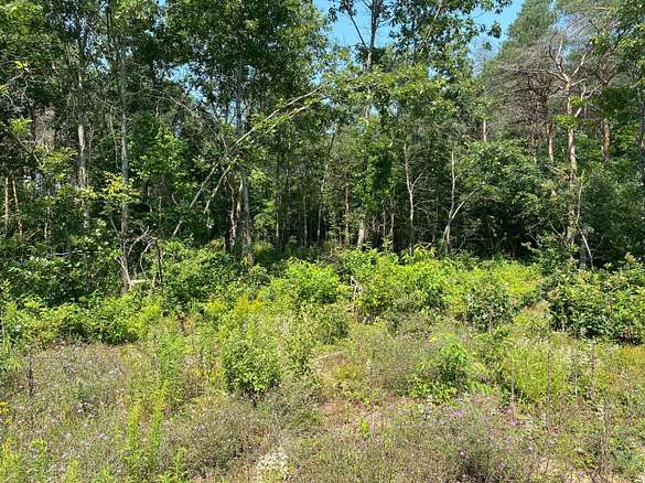 10 Acres of Residential Land for Sale in Twin Lake, Michigan