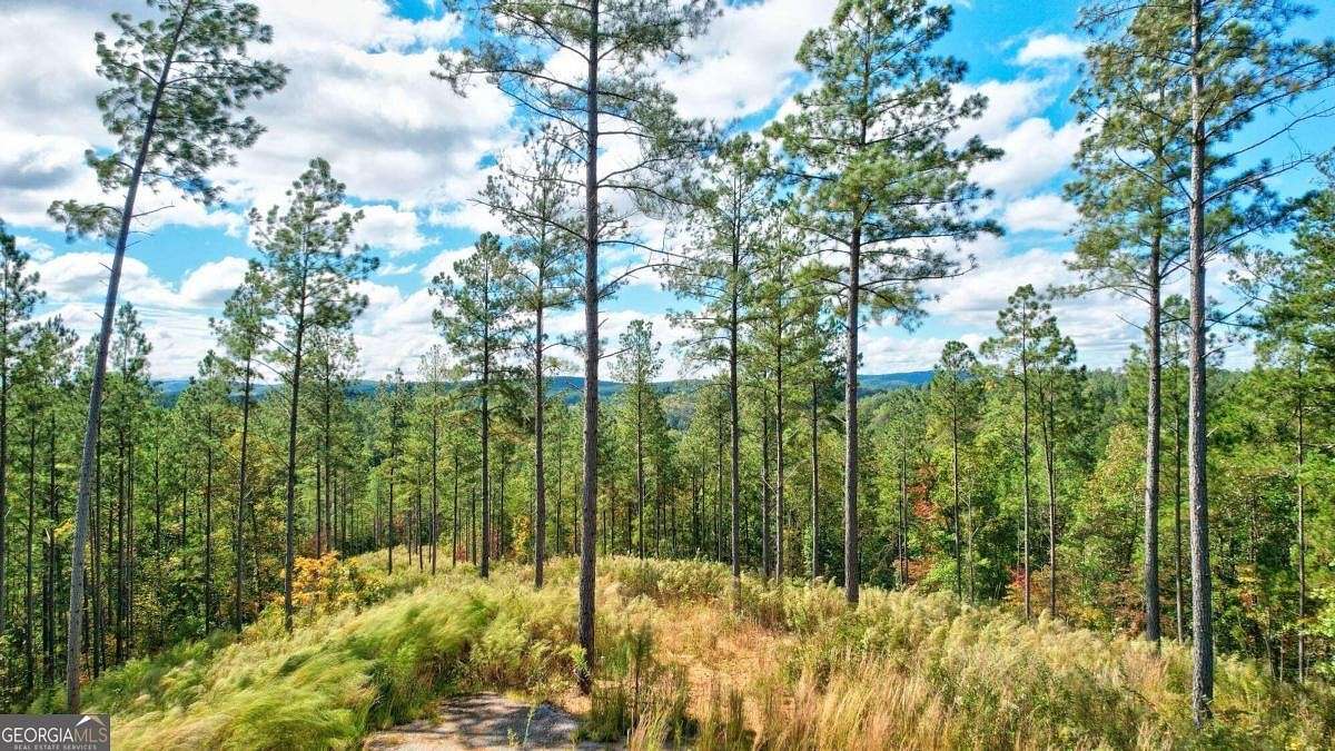 3.8 Acres of Residential Land for Sale in Talking Rock, Georgia
