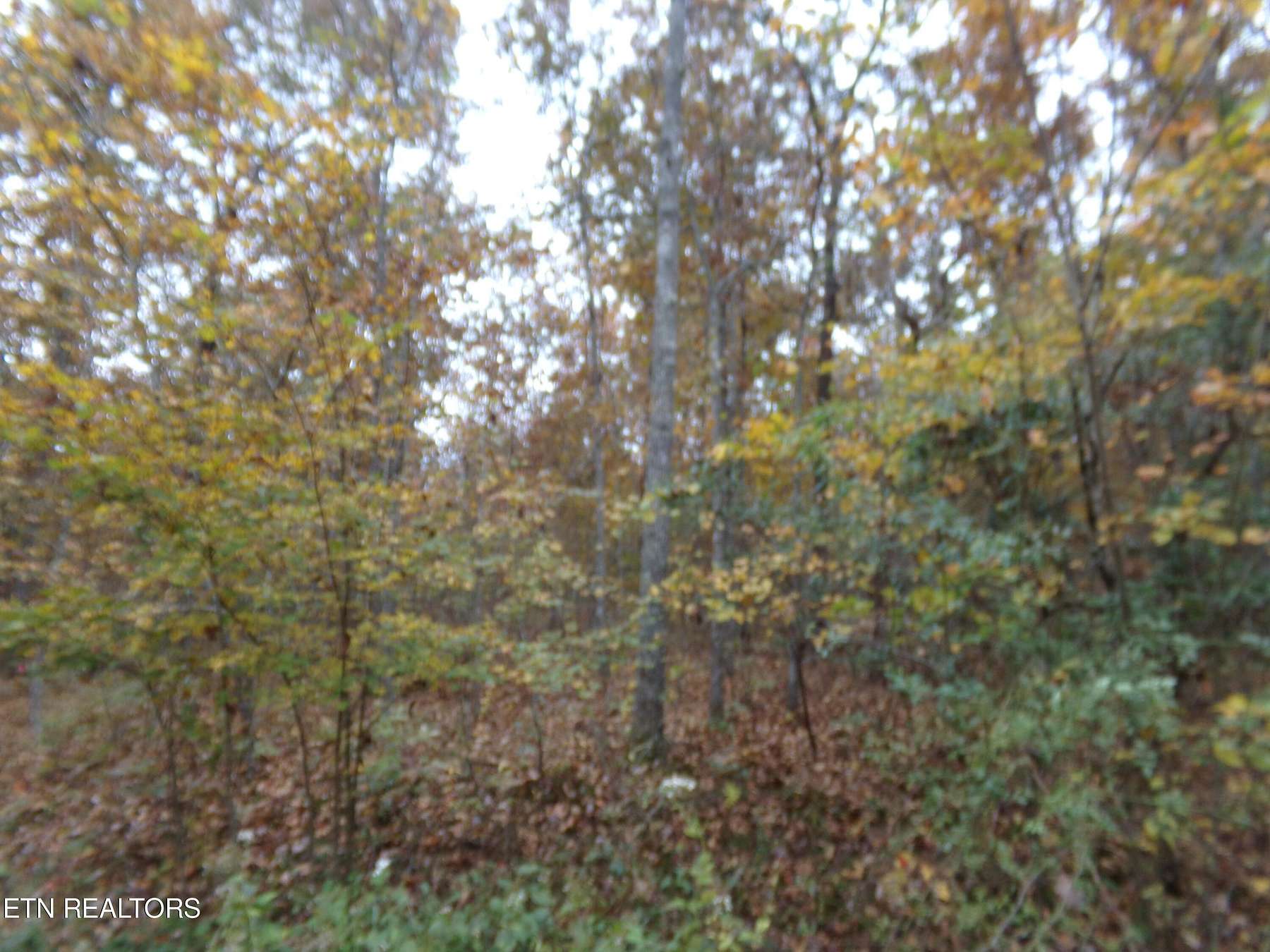 0.31 Acres of Land for Sale in Crossville, Tennessee