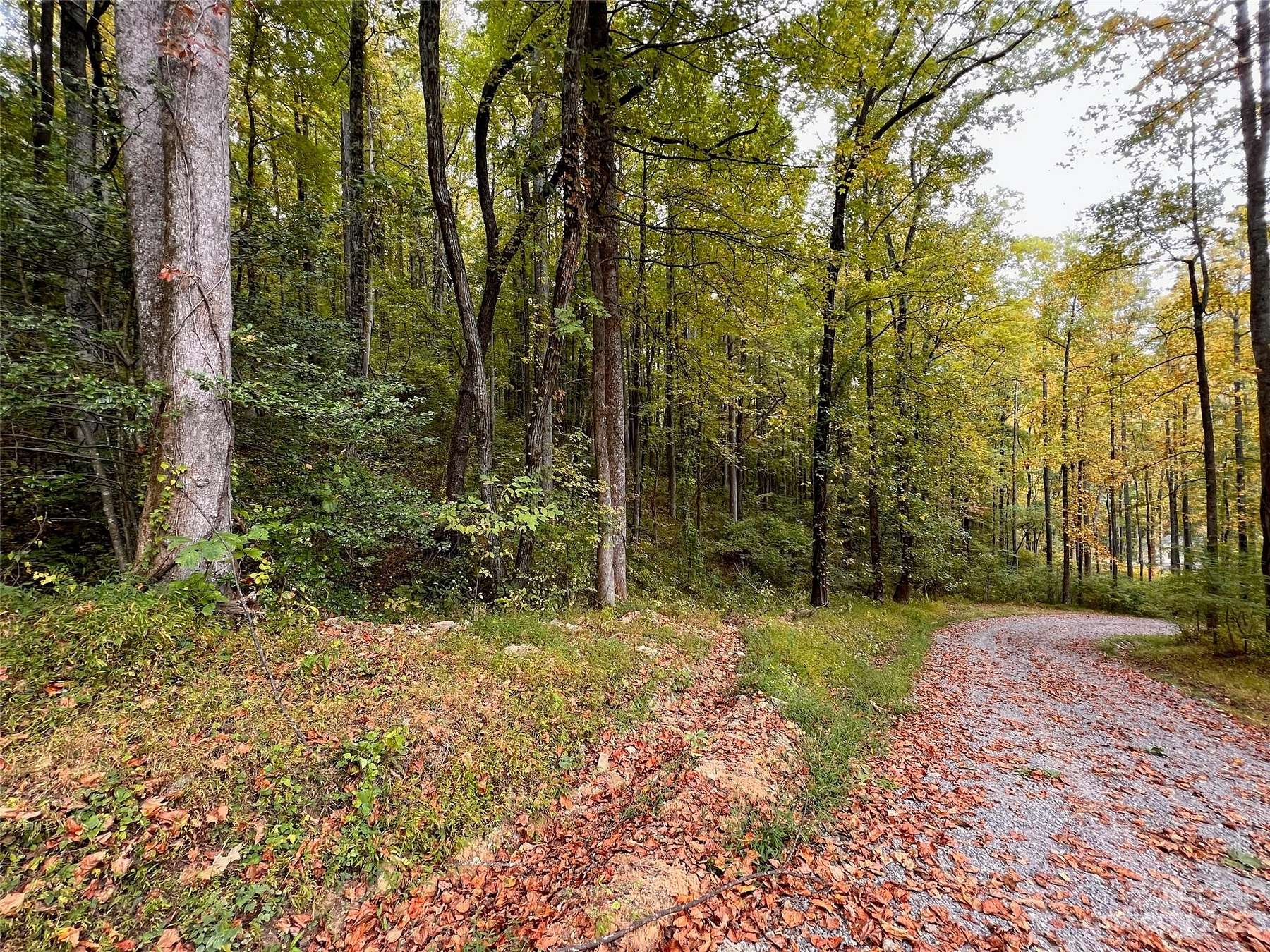 1.3 Acres of Residential Land for Sale in Marion, North Carolina