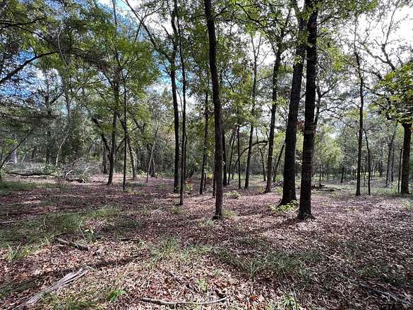 4 Acres of Residential Land for Sale in Tyler, Texas