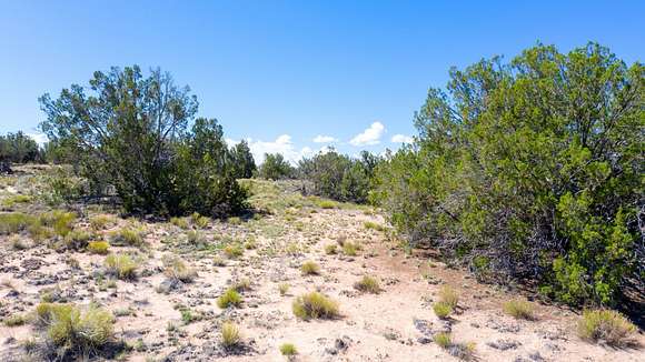 4.7 Acres of Residential Land for Sale in Chambers, Arizona