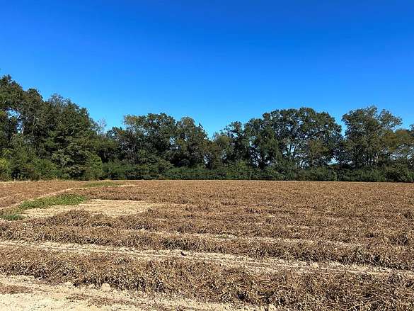 10.779 Acres of Land for Sale in Cottonwood, Alabama