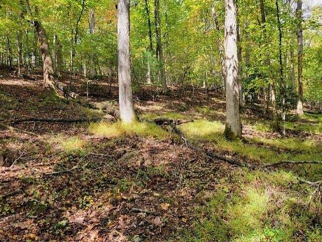 4.7 Acres of Residential Land for Sale in Ellijay, Georgia