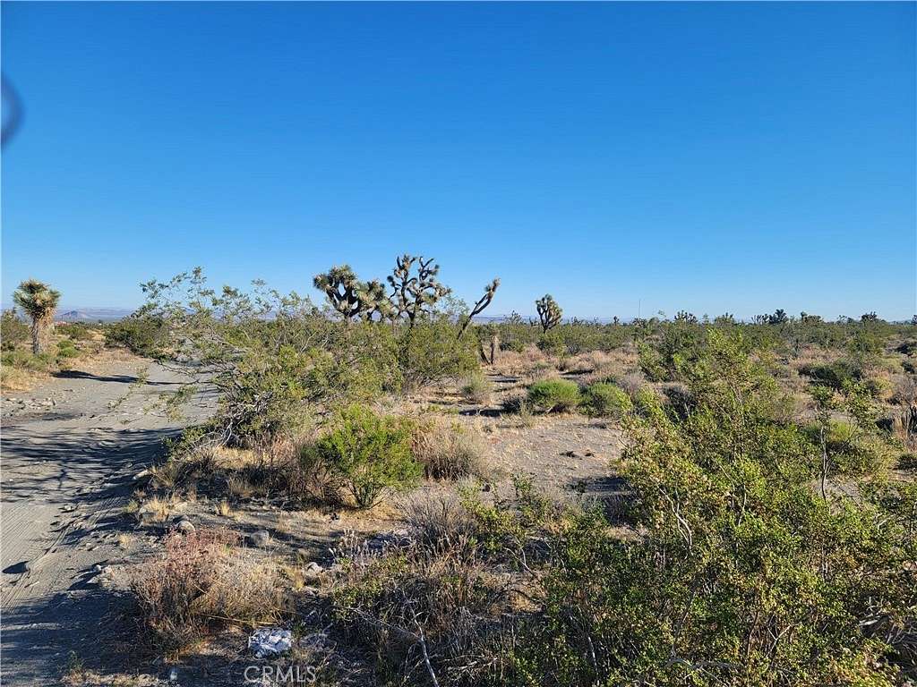 2 Acres of Residential Land for Sale in Piñon Hills, California