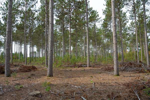 2.27 Acres of Residential Land for Sale in Nekoosa, Wisconsin