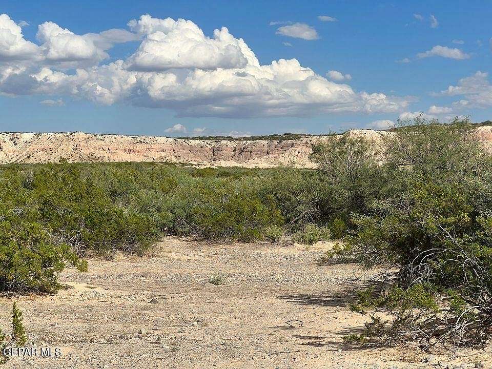 40 Acres of Land for Sale in Fort Hancock, Texas