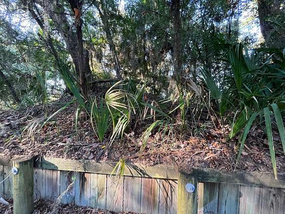 0.2 Acres of Residential Land for Sale in Edisto Beach, South Carolina