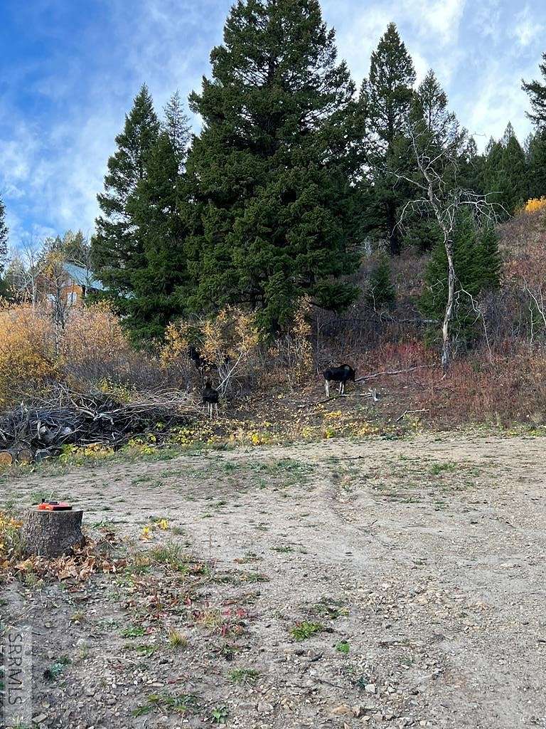 1.3 Acres of Residential Land for Sale in Island Park, Idaho
