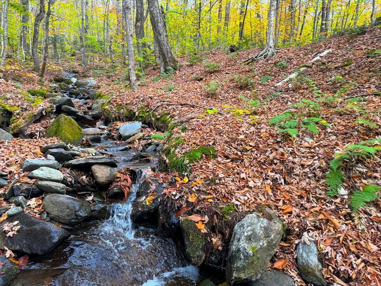 14.4 Acres of Land for Sale in Warren, Vermont