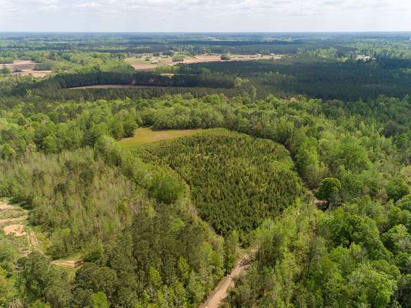 14.5 Acres of Recreational Land for Sale in Johnsonville, South Carolina