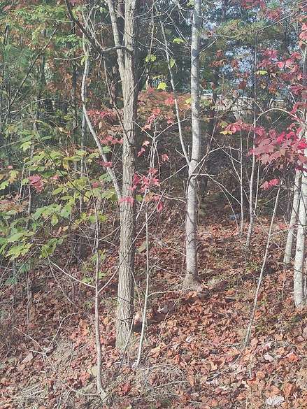10.2 Acres of Land for Sale in Princeton, West Virginia