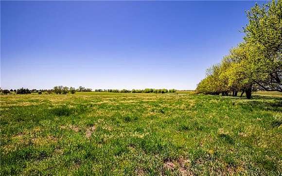 Agricultural Land for Auction in Quenemo, Kansas