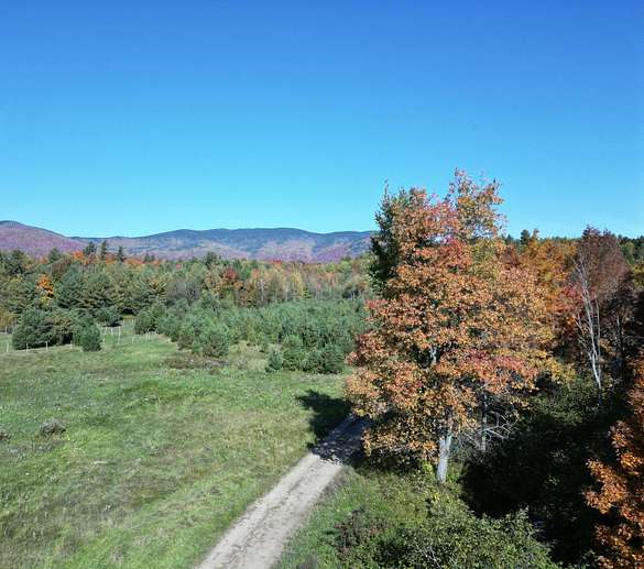 39.3 Acres of Land for Sale in Saranac, New York