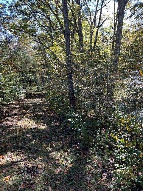 2.4 Acres of Residential Land for Sale in Forest Hill, West Virginia
