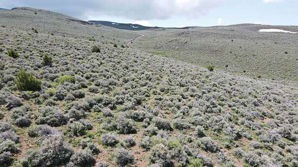 48.7 Acres of Land for Sale in Olinghouse, Nevada