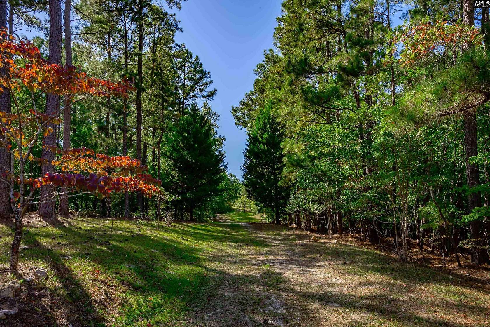 315 Acres of Land for Sale in Ridgeway, South Carolina