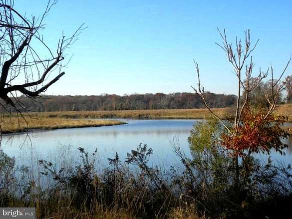 32.28 Acres of Recreational Land for Sale in Earleville, Maryland