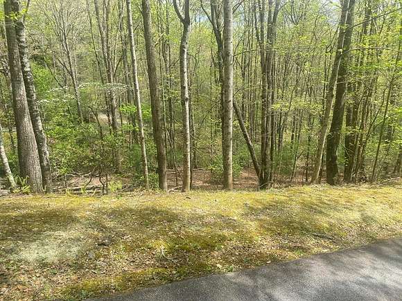 1 Acre of Residential Land for Sale in Cowee Township, North Carolina