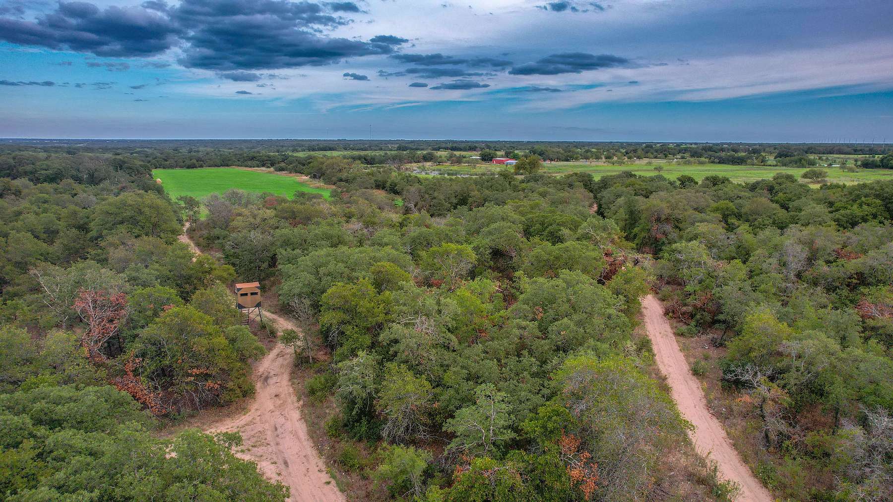 110 Acres of Land for Sale in Cisco, Texas