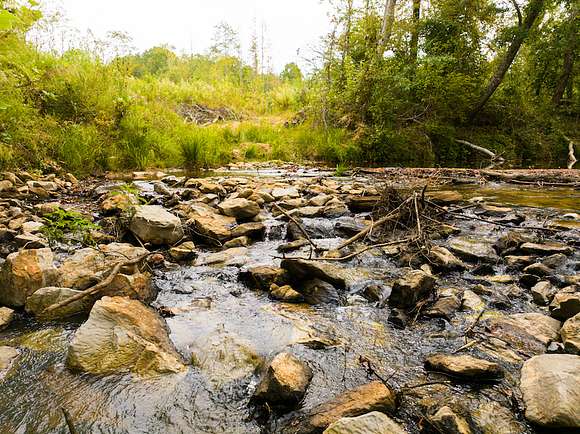315 Acres of Recreational Land for Sale in Fulton, Mississippi