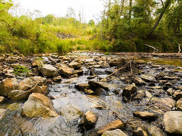 345 Acres of Recreational Land for Sale in Fulton, Mississippi