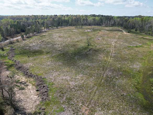 22 Acres of Recreational Land for Sale in Opelika, Alabama